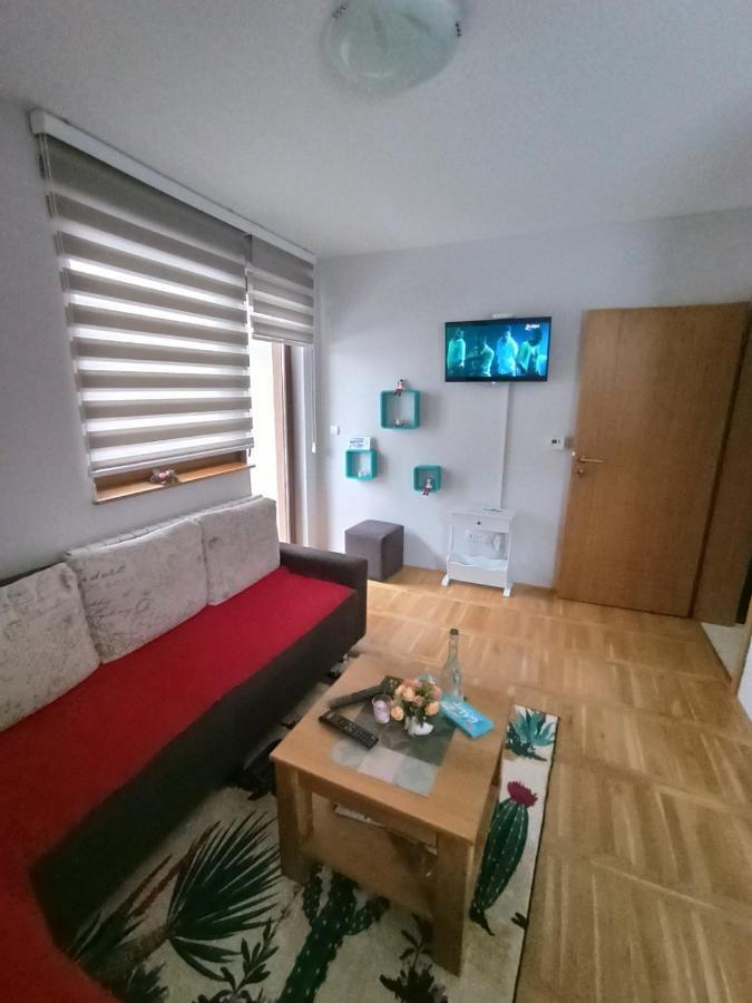 Apartment Gorski Javor 亚霍里纳 外观 照片
