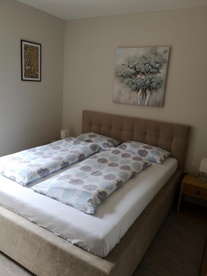 Apartment Gorski Javor 亚霍里纳 外观 照片